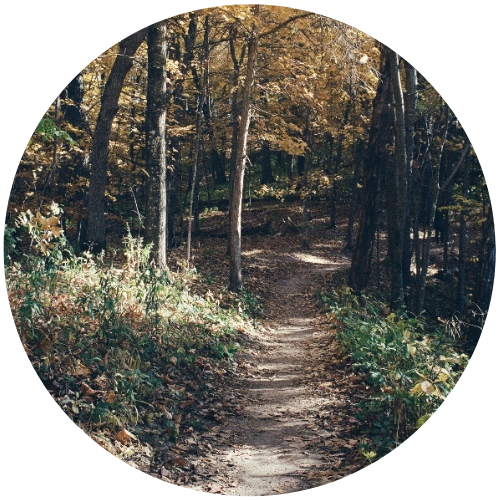 Individual counseling and therapy